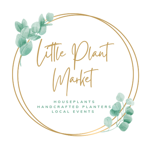 Little Plant Market logo