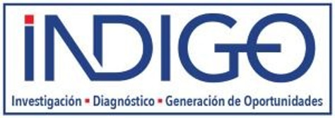 INDIGO CONSULTING logo