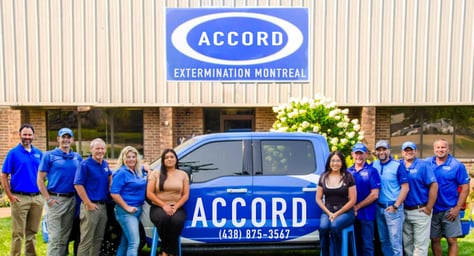 Accord Extermination Montreal Exterminator Team