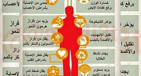 الصيام المزابا