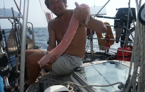 Yanne with Kingfish filet on S/Y Albatross