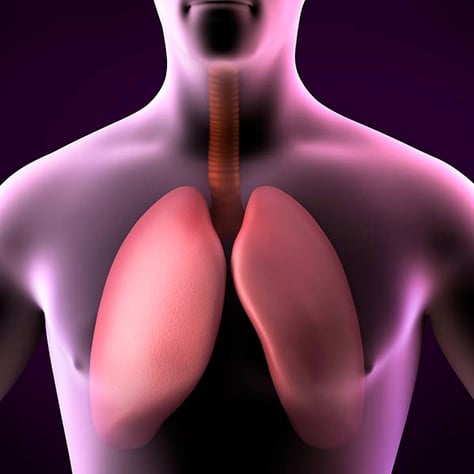 Respiratory Diseases