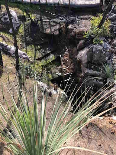 Ladder down into Kelly Hill show cave, Kangaroo Island used to inspect fire impacts