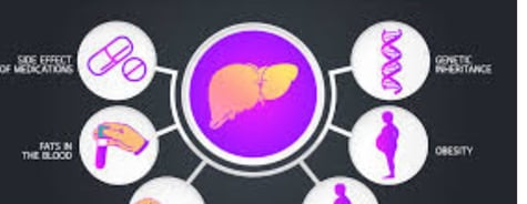 Fatty Liver Disease Can Show Up  