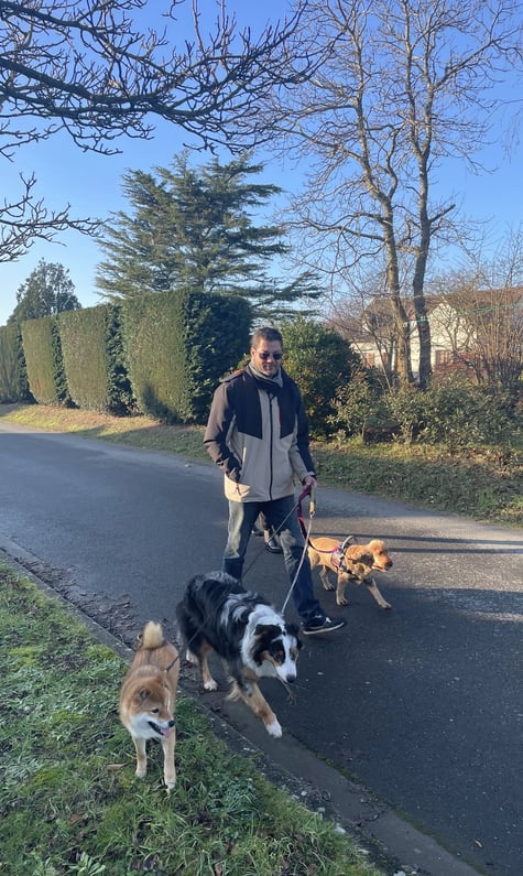 Pet sitter Tourneville
