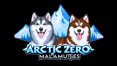 Allevamento Alaskan Malamute Arctic Zero logo