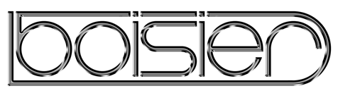 Boisier logo
