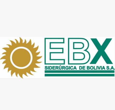 EBX Siderúrgica logo