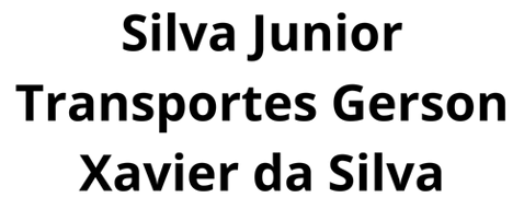 Nossa Senhora Aparecida Transportes LTDA logo