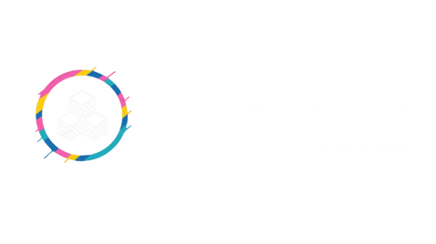 Prime Vision logo