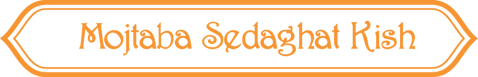 مجتبی صداقت کیش logo