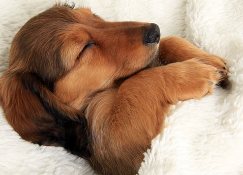 Amélioration du sommeil