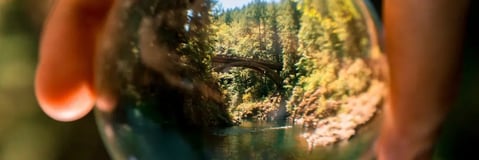 connexion avec l'environnement