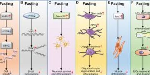 fasting