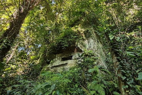 Bogani Explorer