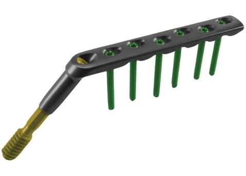 Placa para Fémur Proximal DHS 135°