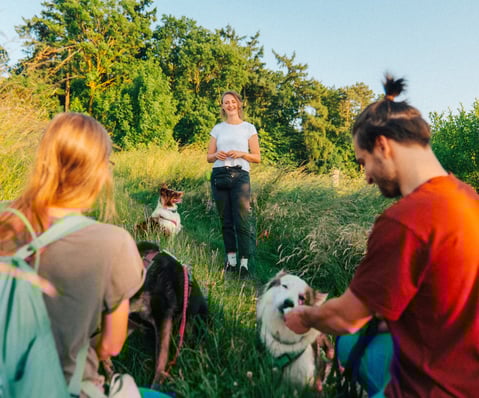 Gemeinsames Waldbaden in der Gruppe – Mensch-Hund-Teams achtsam unterwegs bei Takoda