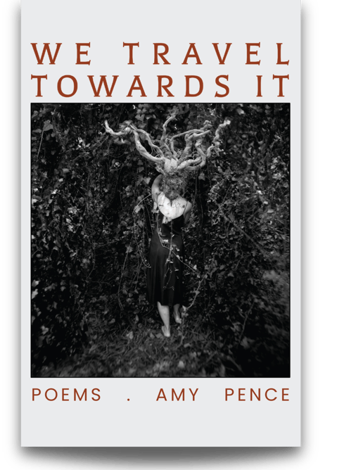 We Travel Towards It Amy Pence