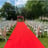 mariage laïque Provence / Paris
