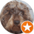 Avis client Mimi 17