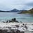 Lofoten beach