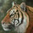 a tiger in a painting of a tiger