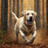 chien labrador