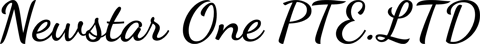 Newstar One PTE.LTD logo