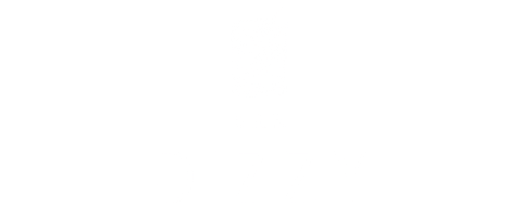 Dizzy Bar logo