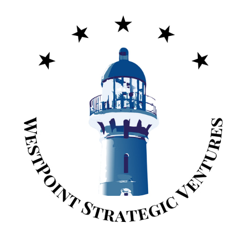 WSV Advisors logo