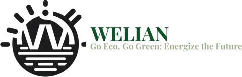 Welian logo