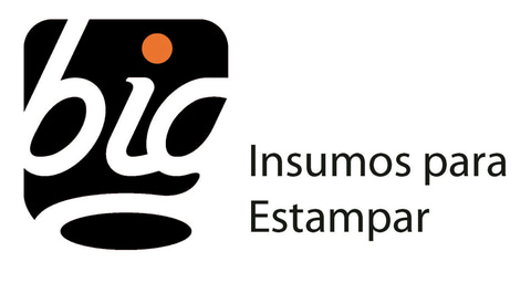 BIG INSUMOS PARA ESTAMPAR SERIGRAFIA logo