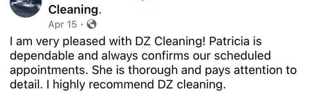 review cleaning services general clean