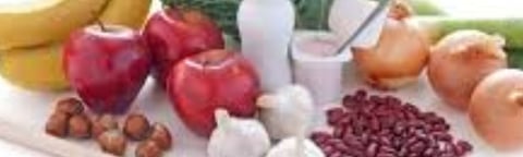 prebiotic
