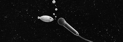 poisson micro fond noir