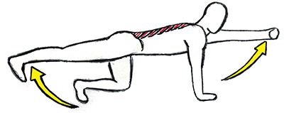 McGill Bird Dog Exercise