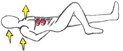 McGill Curl Up Exercise