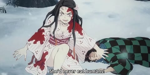 Nezuko Kamado protecting your brother Tanjiro Kamado