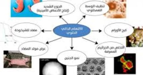 الصيام والالتهام الذاتي