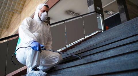 mold remediation chandler az