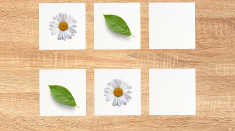memory nature