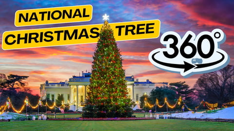 Image showing 360 view of National Christmas Tree display