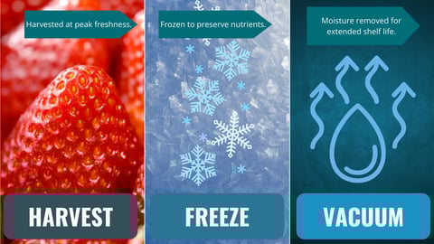 three image panel, showcasing the freeze dried process, harvest, freeze, vacuum