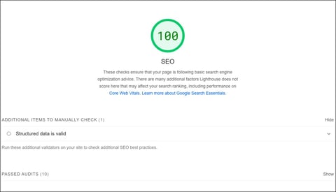 Screenshot of PPSL's website scoring 100% on SEO section of Google PageSpeed Insights tool