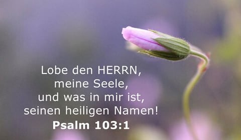 Lobe den Herrn meine Seele