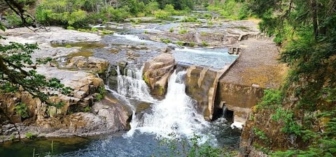 Waterfall Hwy, OR - Steamboat Falls has rock ledge ladders for the salmon to swim up