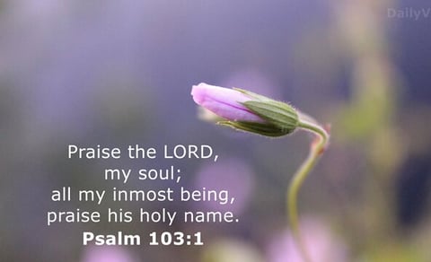Praise the LORD my soul