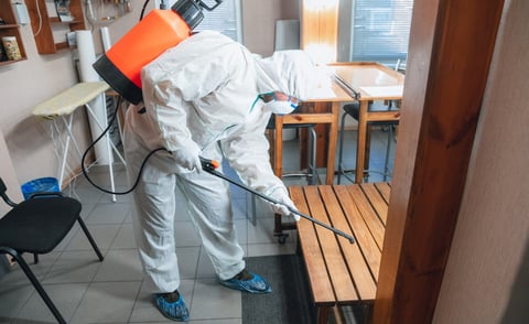 mold remediation AZ