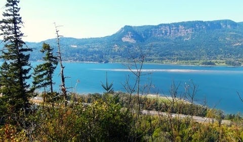 Columbia River Gorge, Oregon - the border between OR & WA, and the cliffs rise 4,000 ft.