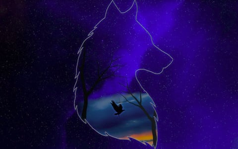 a wolf in the night sky with a eagle flying in the dawn inside the wolf outline